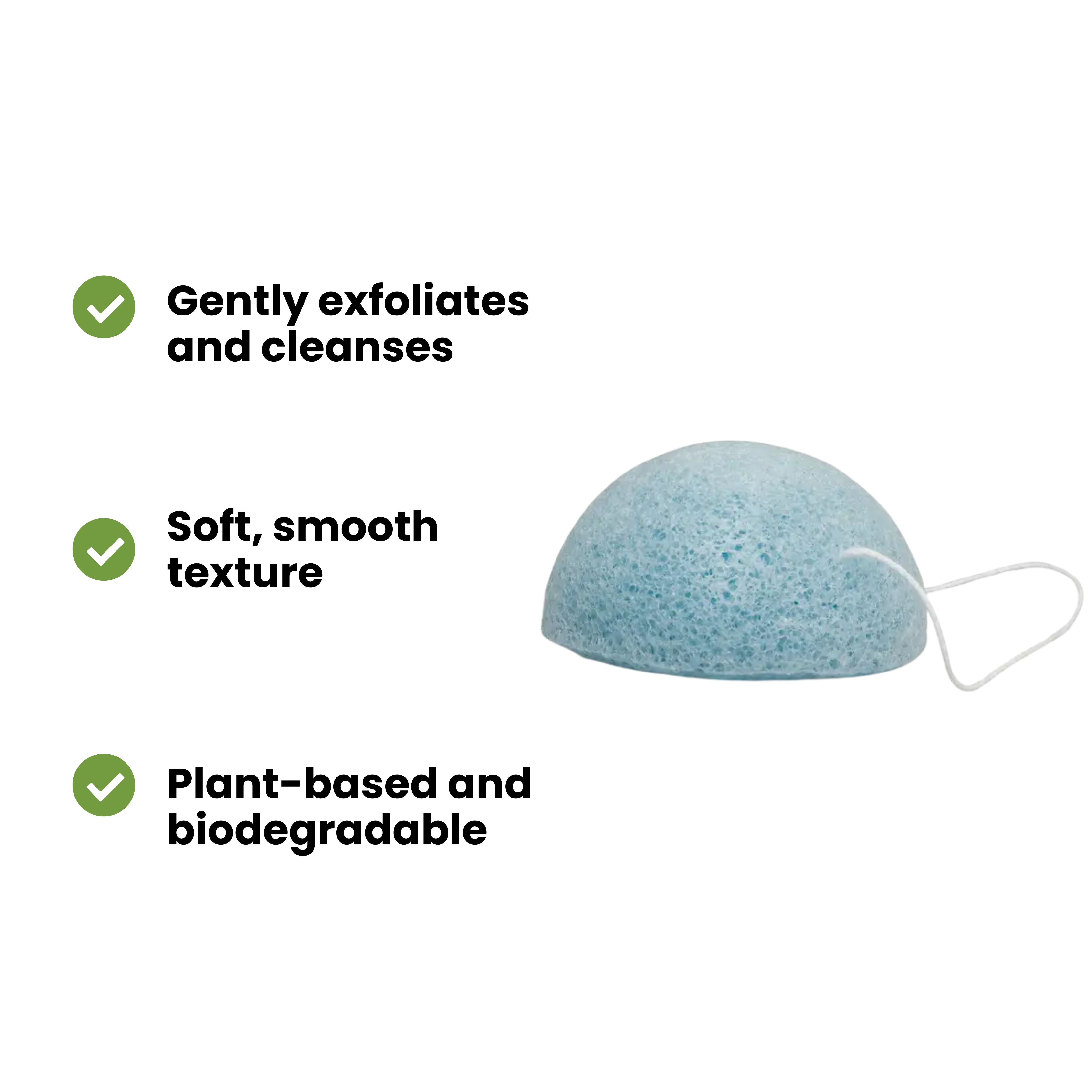 Blueberry konjac sponge
