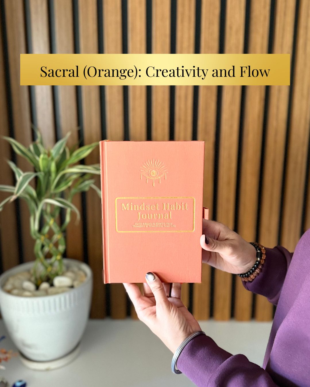 Mindset Habit Journal